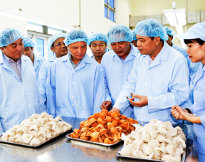 Bộ trưởng Bộ Nông nghiệp và Phát triển nông thôn Nguyễn Xuân Cường: Làm việc tại Khánh Hòa